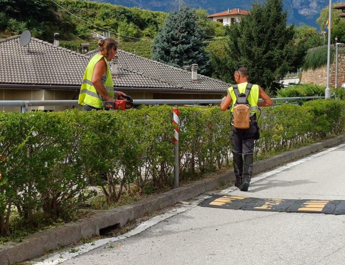 Manutenzione del verde, il punto a Lavis